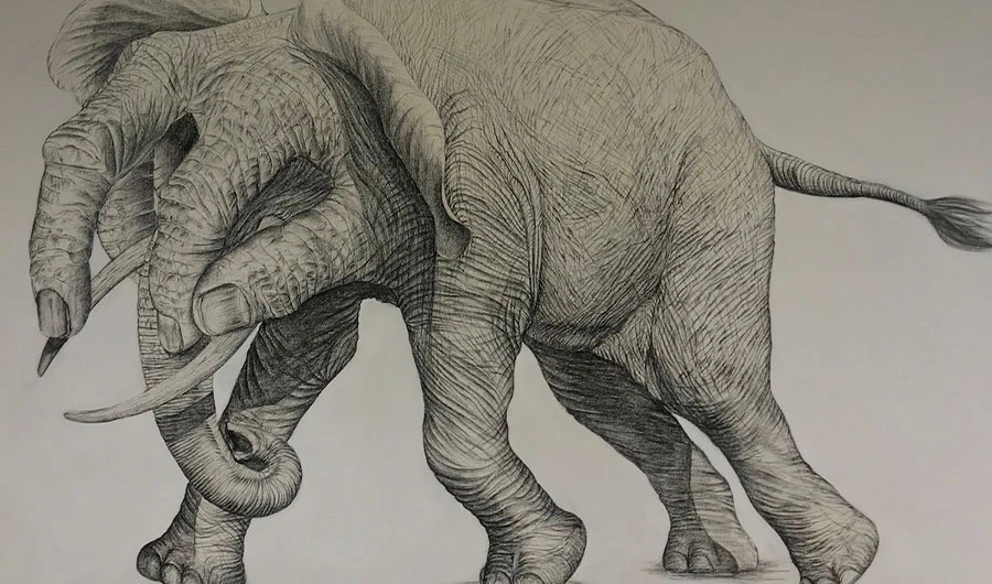Mohsin Panjwani's work displayed at Studio Seven Gallery in Dubai. (Photo courtesy of Studio Seven Gallery Dubai)