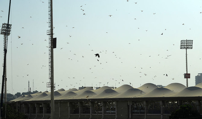 Locusts fly over the National Cricket Stadium in the port city of Karachi in Sindh province on Nov. 11, 2019. (AFP)