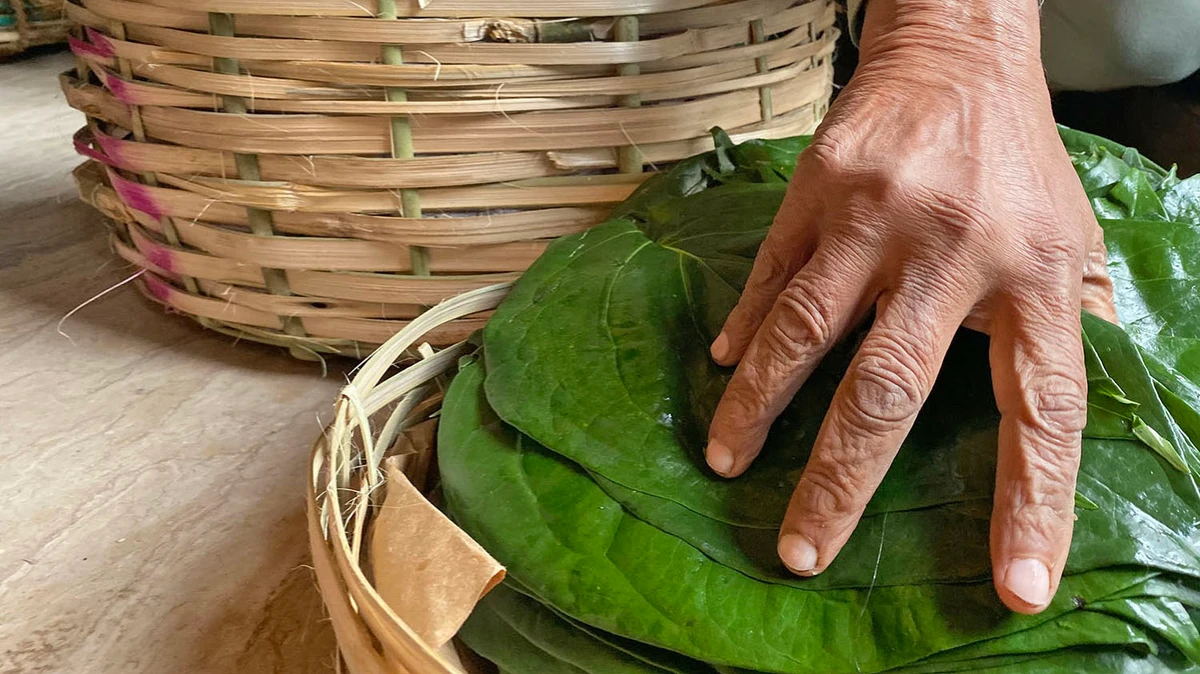 A basket full of betel leaves is seen at the Nanakwara Paan Mandi in Karachi on Jan. 1, 2020. (AN photo)