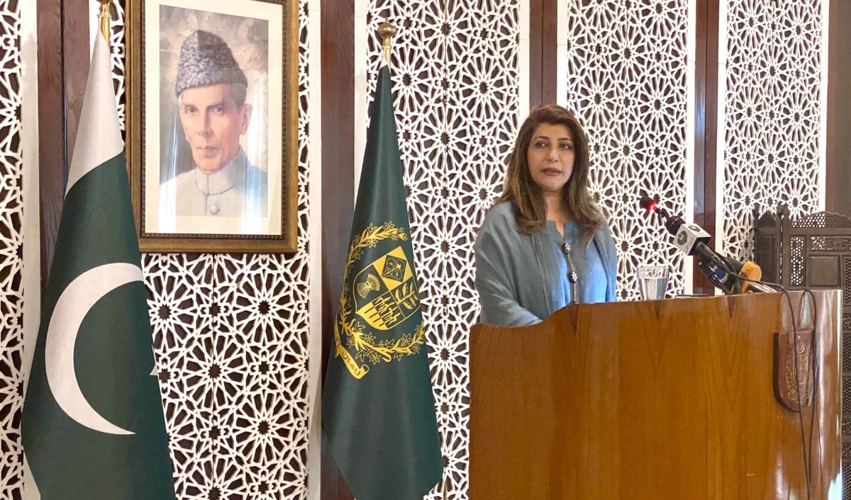 Foreign Office spokeswoman Aisha Farooqui is addressing a weekly media briefing in Islamabad on Feb. 13, 2020. (AN photo)