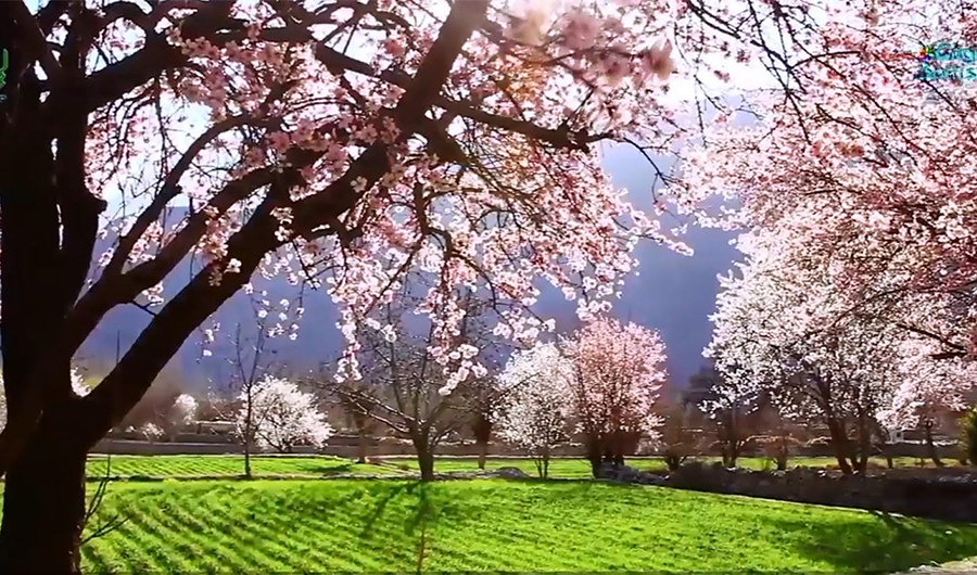 Scenic view of Gilgilt-Baltistan. (Photo courtesy: social media)