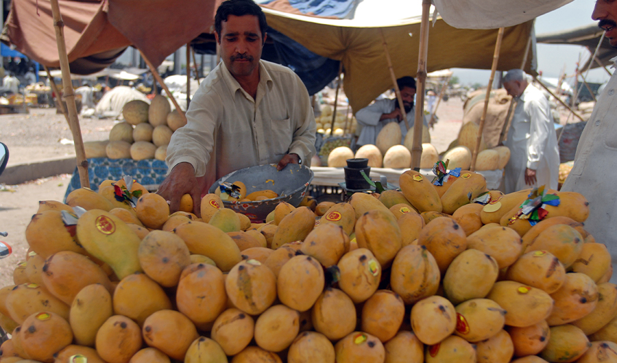 A Pakistani fruit vendor sells mangos in a main fruit market in Islamabad on July 4, 2009. (AFP)