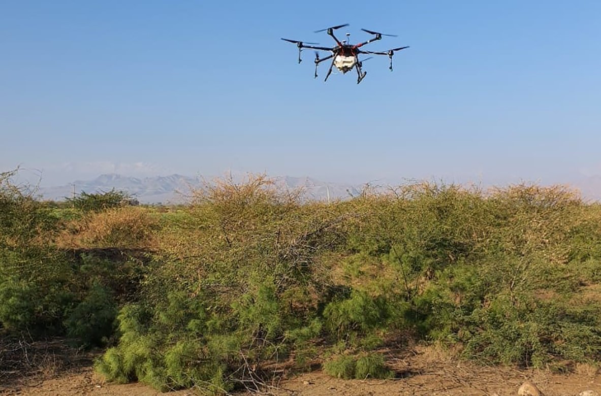 A drone takes off to conduct aerial spraying against locust swarms in Dera Ismail Khan, Khyber Pakhtunkhwa, on Feb. 5, 2020. (Photo courtesy: KP Agriculture Department)