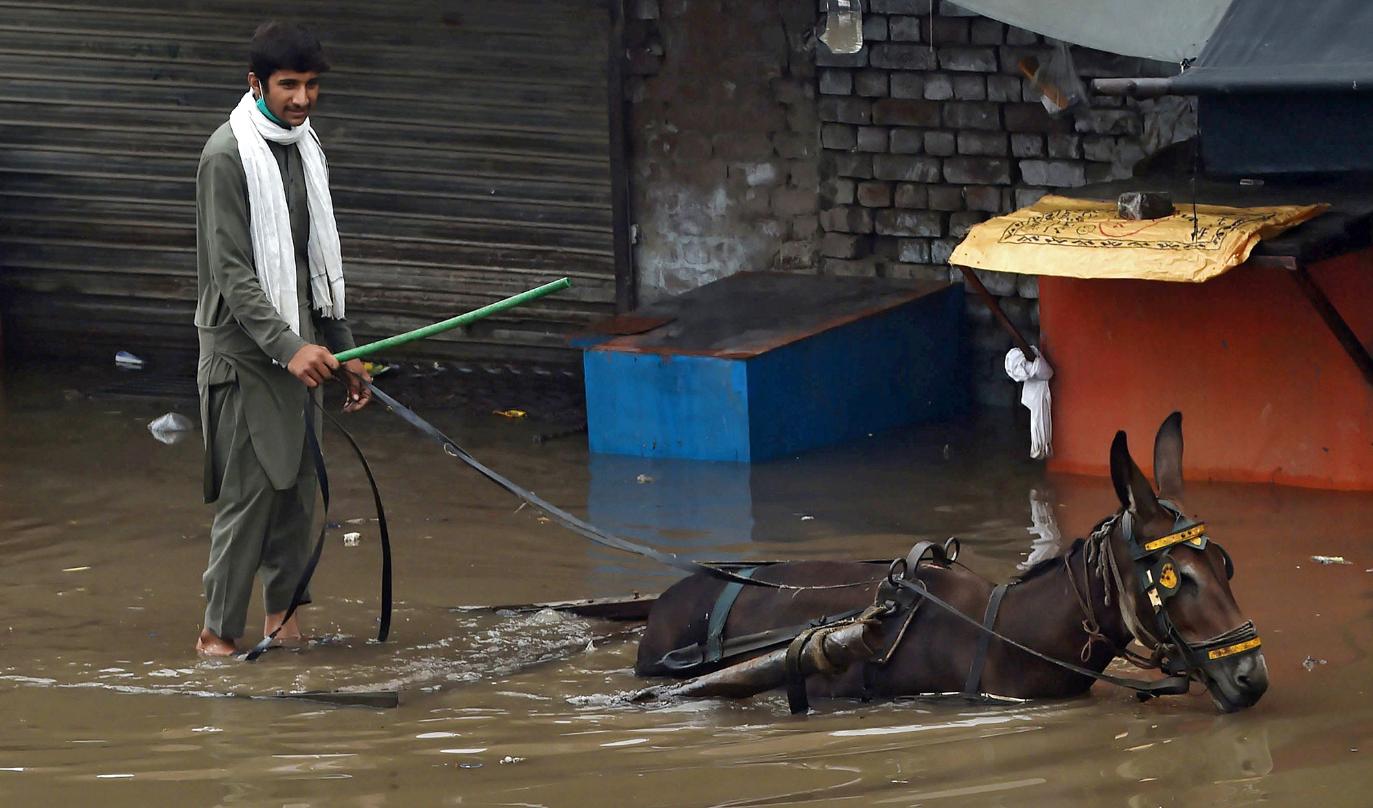 A laborer rides a donkey cart through a flooded street after heavy monsoon rains in Lahore on Aug. 20, 2020. (AFP)