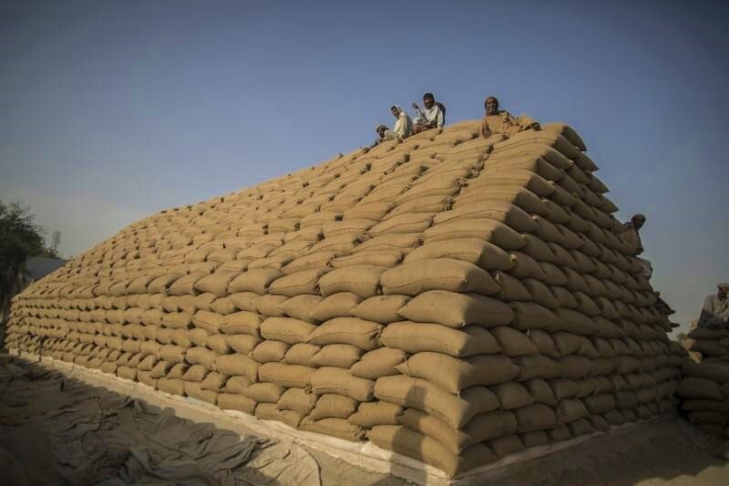 Pakistani labourers sit on a pyramid of wheat sacks used to store wheat supplies near Multan in South Punjab province May 12, 2014. (REUTERS/ File Photo)