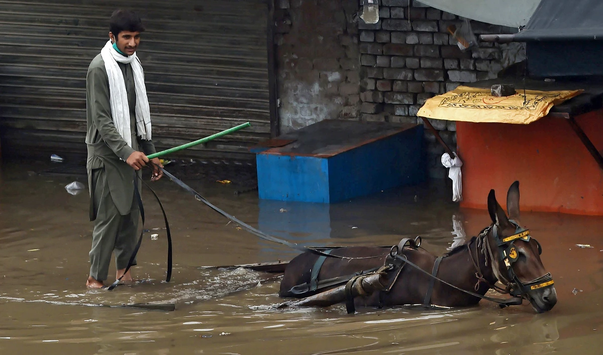 A laborer rides a donkey cart through a flooded street after heavy monsoon rains in Lahore on Aug. 20, 2020. (AFP)