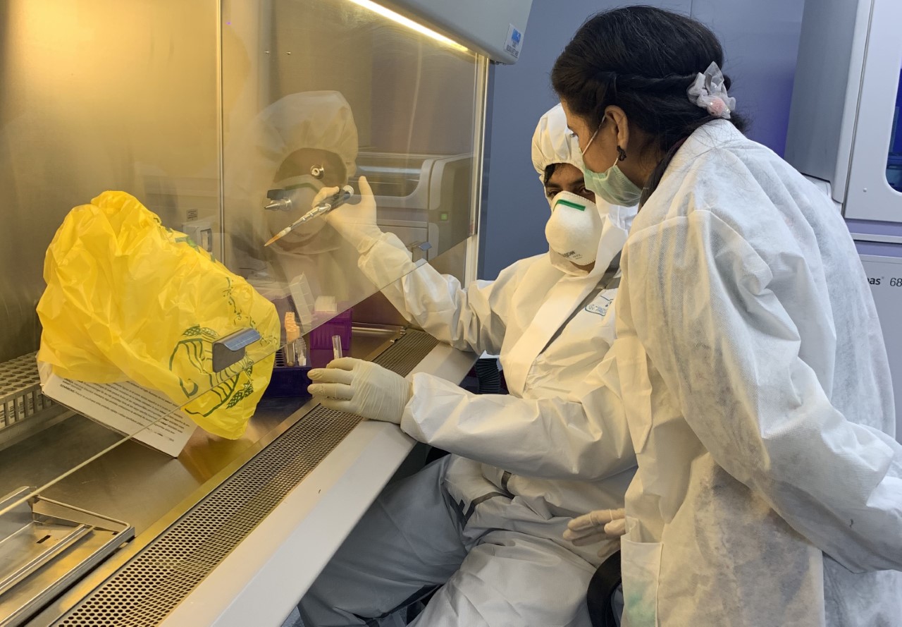 In this file photo, Pakistani scientists examine samples at the Public Health Reference Laboratory in Lahore, April 23, 2020. (AN photo)