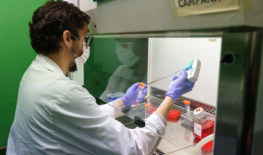 A researcher at the Institute of Molecular Biology and Genetics (IBGM) of the University of Valladolid (UVa) works at a laboratory on searching a vaccine against COVID-19, in Valladolid on November 10, 2020. (AFP)