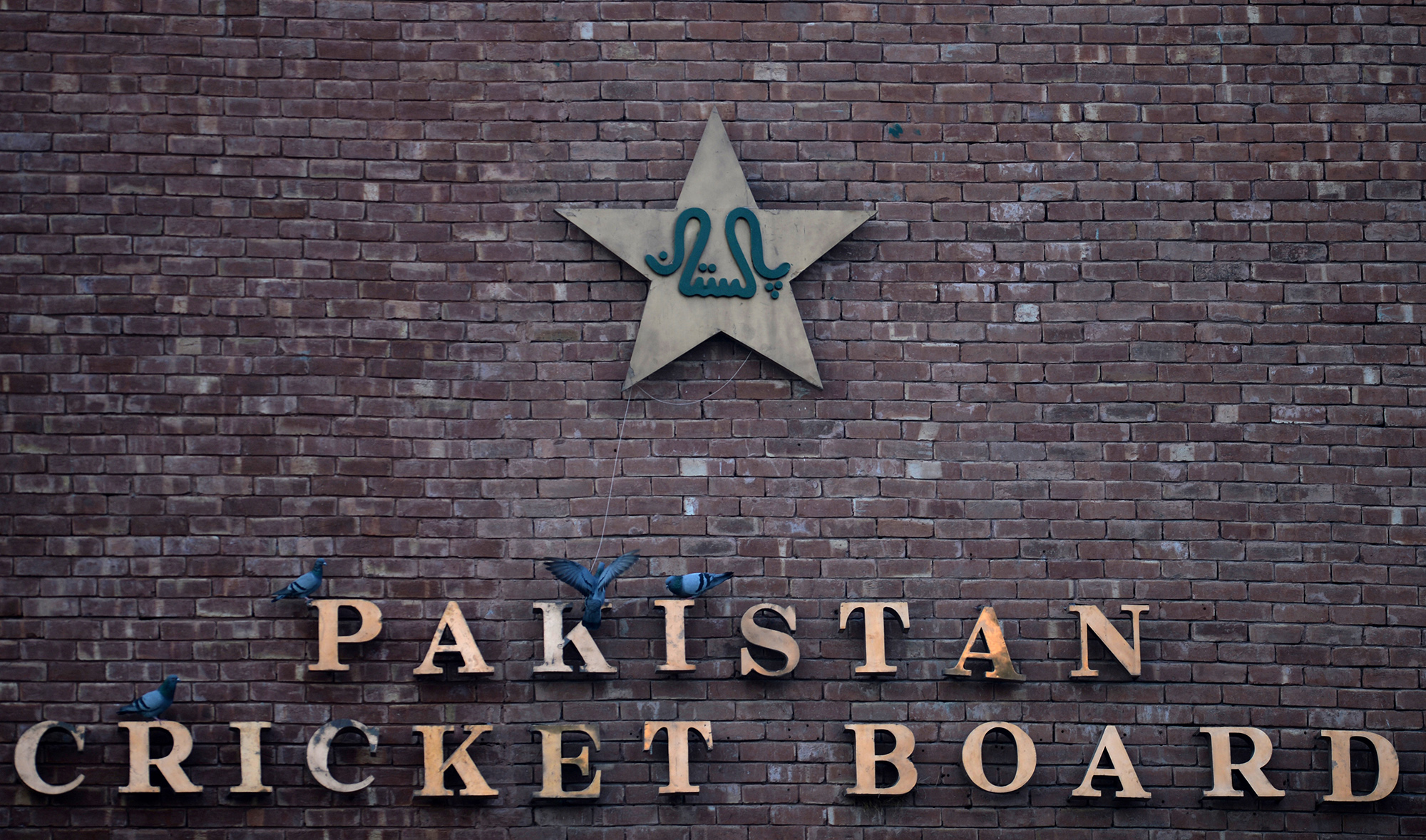 This picture taken on September 7, 2017 shows pigeons resting on a sign for the Pakistan Cricket Board at the Gaddafi Stadium in Lahore. (AFP/File)