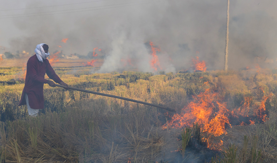 A farmer burns straw stubble after harvesting a paddy crop in a field near the India-Pakistan Wagah border, some 35 kms from Amritsar on October 19, 2020. (AFP)