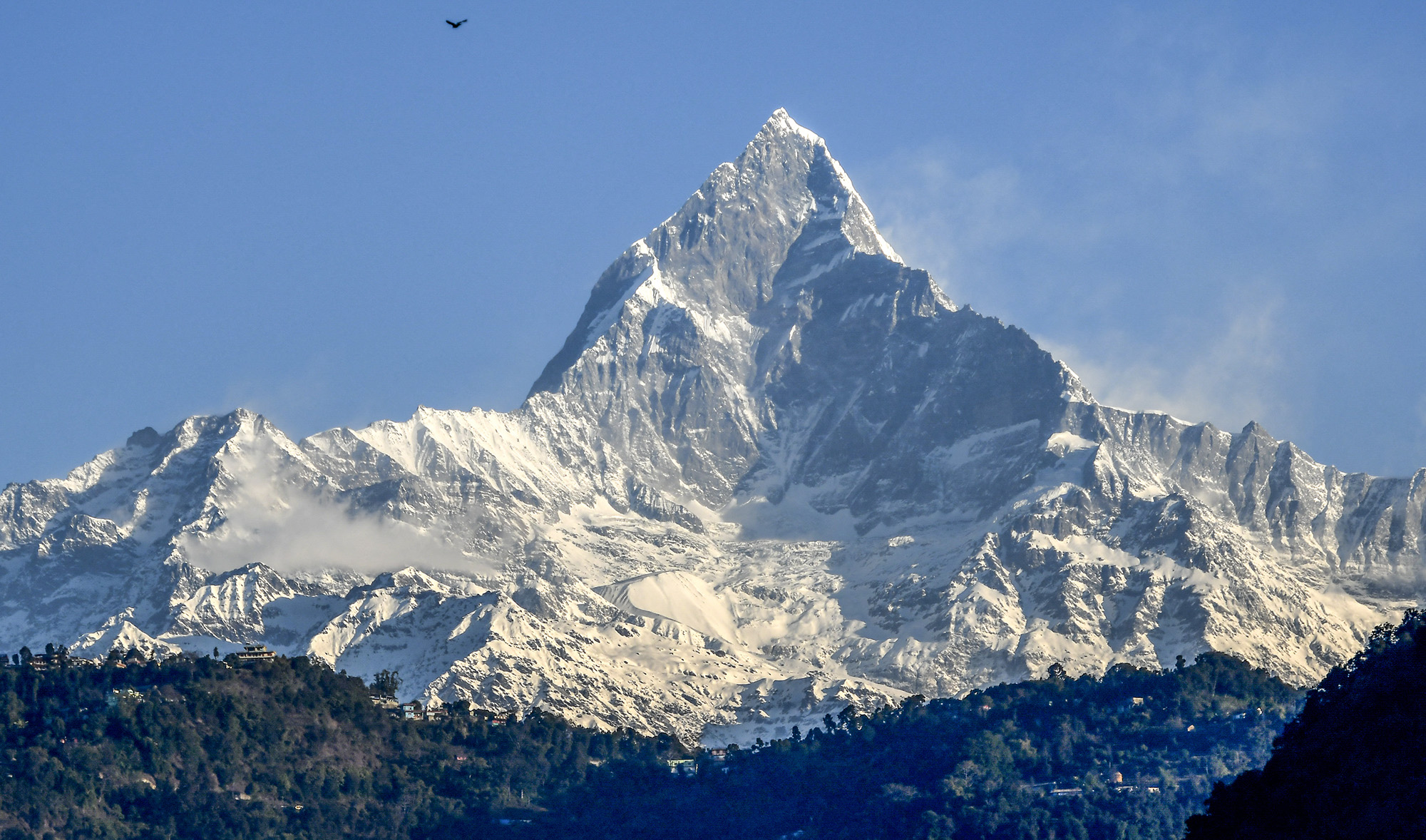 A great cormorant flies above the Mount Machhapuchhre, center, and Annapurna mountain range, in Pokhara, some 200 kms west of Kathmandu on January on 22, 2020. (AFP/File)