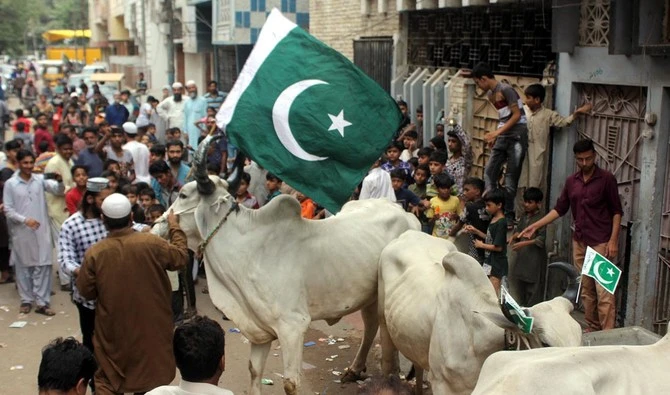 A sacrificial bull, with Pakistani flags fastened to its horns, is lifted down by crane from the roof of a four-story building in Karachi’s Nazimabad neighborhood on Sunday, August 12, 2018. (AN photo M.F.Sabir)