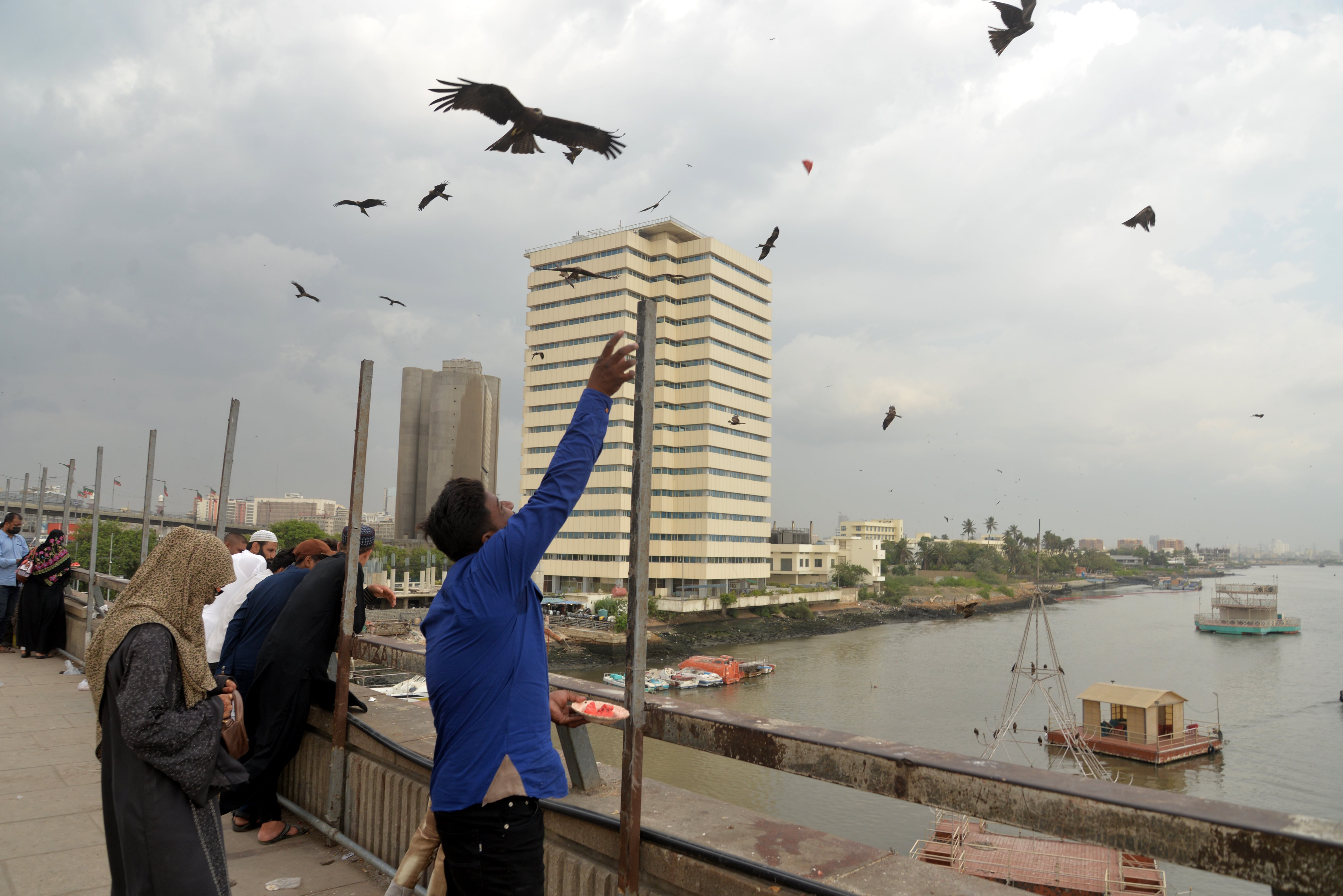 A man tosses a piece of meat to an eagle at the Natives Jetty Bridge, Karachi, Pakistan, on September 24, 2021 (AN Photo by S.A. Babar)
