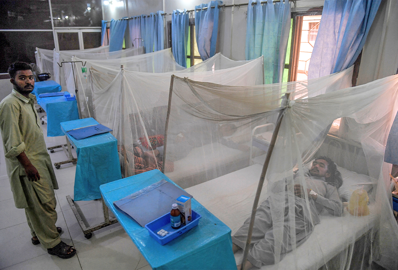 A doctor (L) checks on a patient suffering from dengue fever under a net as he is treated at a government hospital in Karachi, Pakistan, on October 10, 2019. (AFP/File)