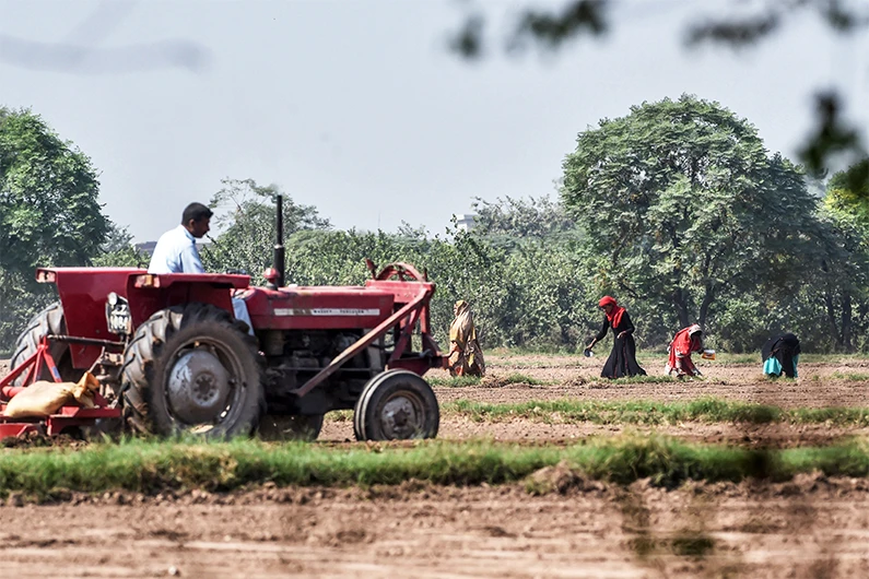 A tractor passes by as farmers work in a field in Lahore on October 14, 2020. (AFP)
