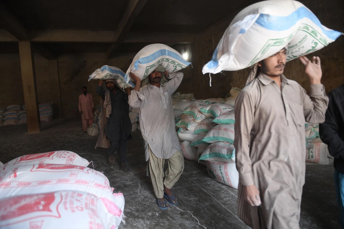 Labourers load sacks of wheat flour at a market in Karachi on January 20, 2020. (AFP)