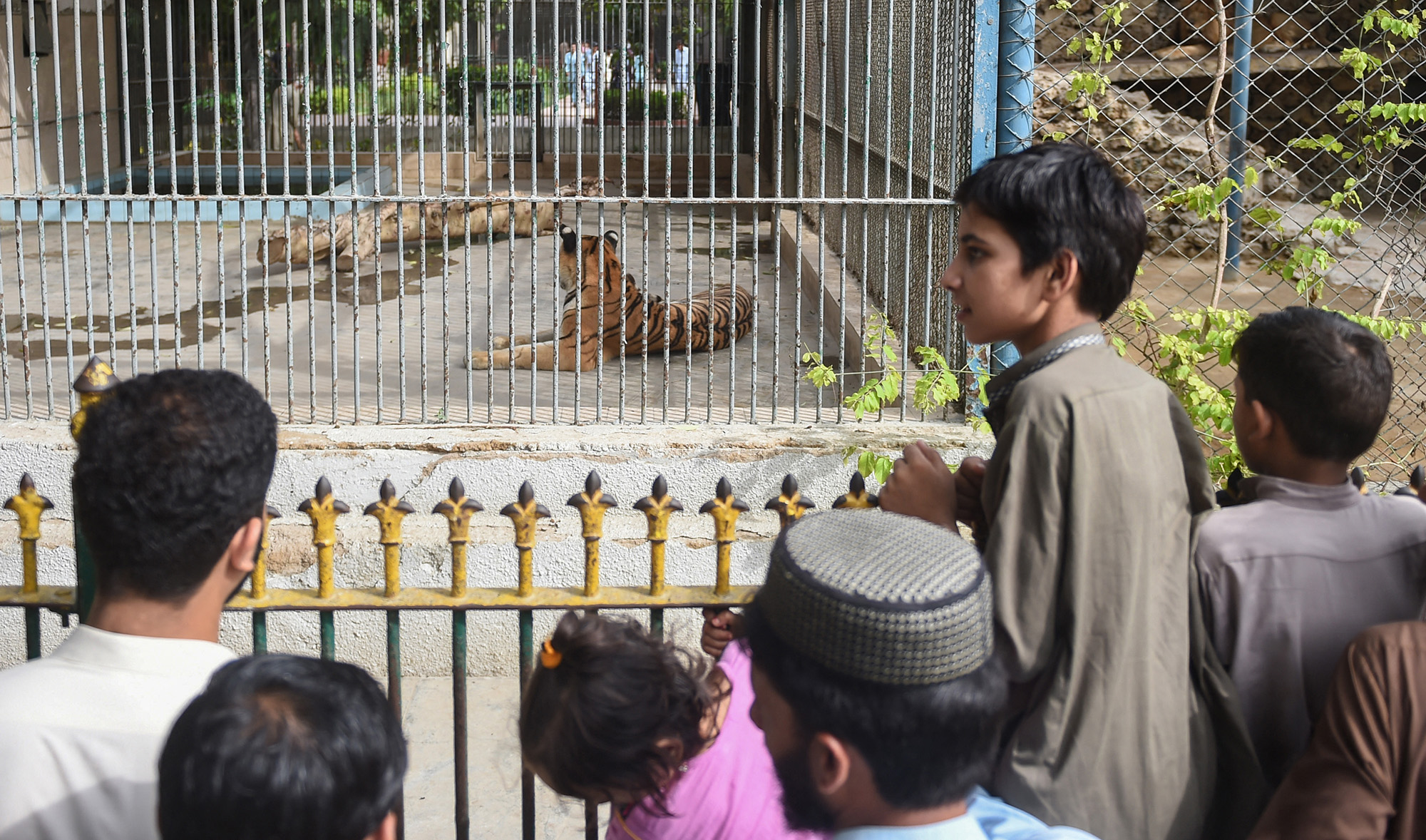 People look at a Bengal tiger in its cage at Karachi Zoo in Karachi, Pakistan, on July 28, 2019, on the eve of International Tiger Day. (AFP/File)
