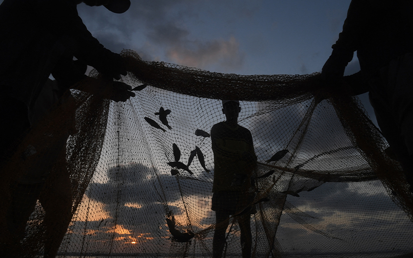Fishermen remove fish from a net at the Clifton beach in Pakistan's port city of Karachi on October 6, 2020. (AFP/ FILE)