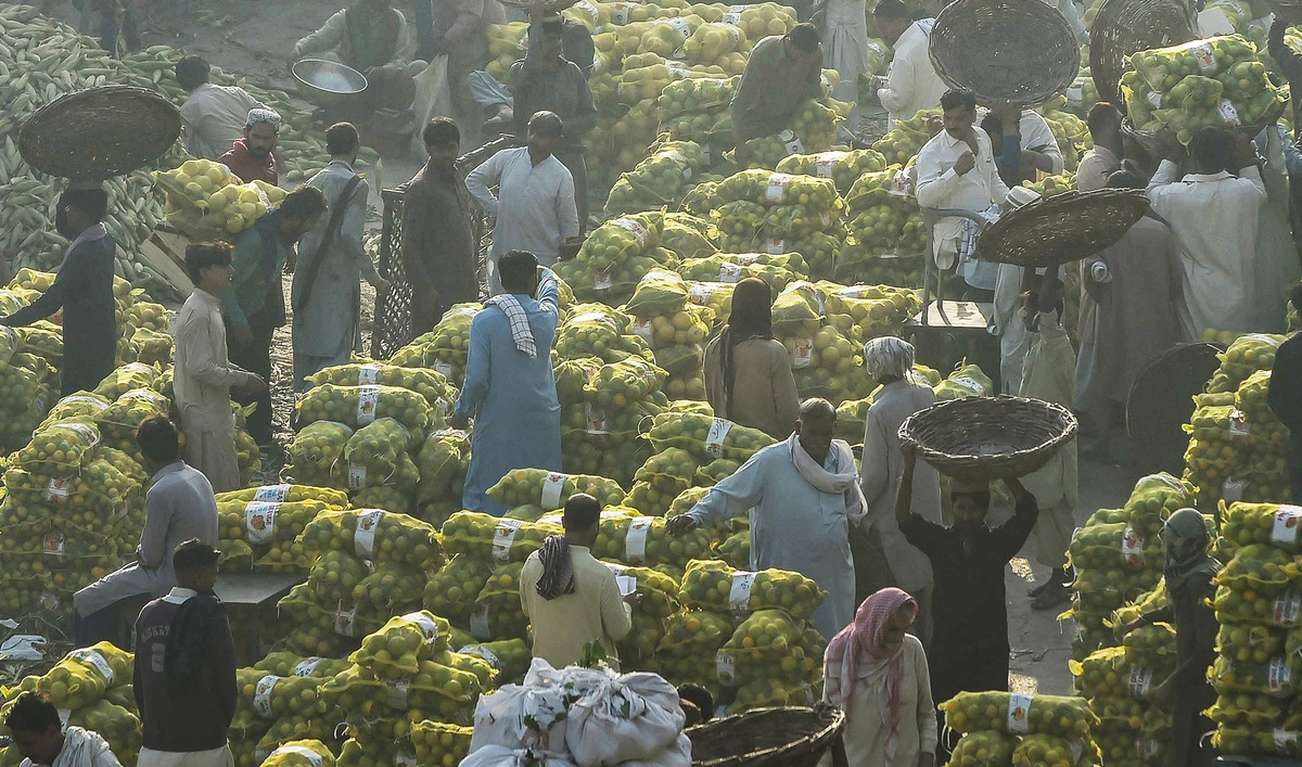 Traders gather at the fruit market early in the morning in Lahore, Pakistan, on November 8, 2021. (AFP/File)