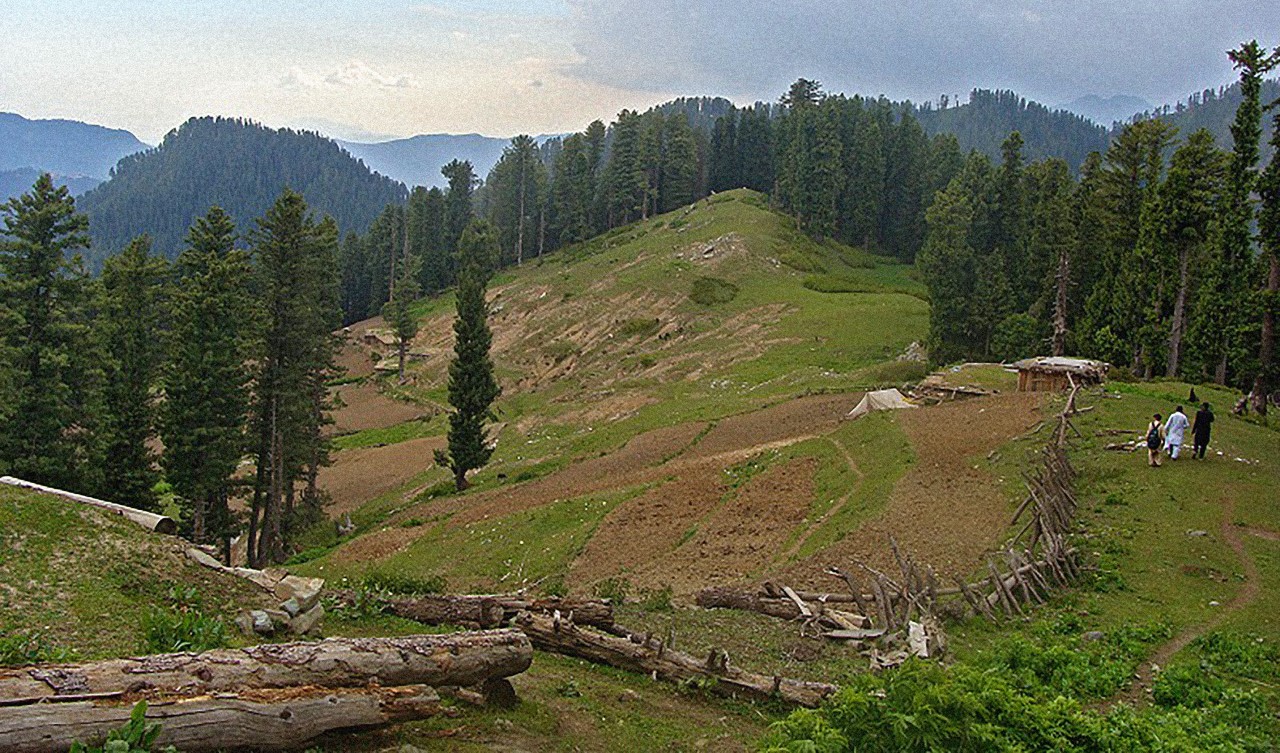 In this undated photo, backpackers walk past a hillside in Kamal Ban National Park, a protected area in Mansehra district of Pakistan’s Khyber Pakhtunkhwa province. (Photo courtesy: KP Forest Environment & Wildlife Department)