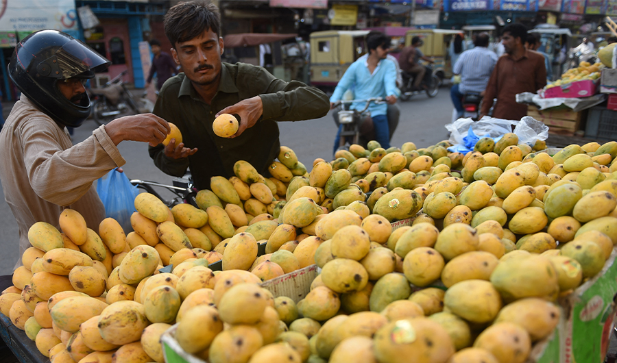 A Pakistani man buys mangoes at a market in Karachi on June 7, 2016. (AFP/FILE)