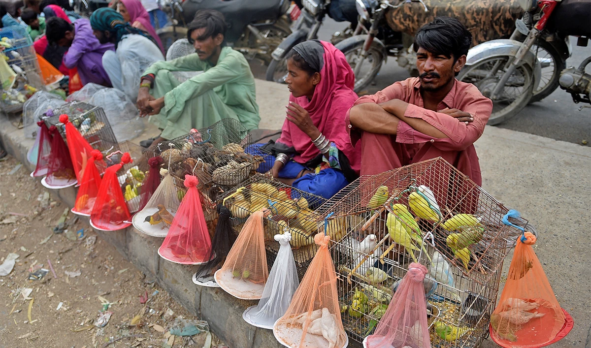 Vendors selling birds wait for customers at a weekly birds and animals market in Karachi on May 22, 2022. (AFP)
