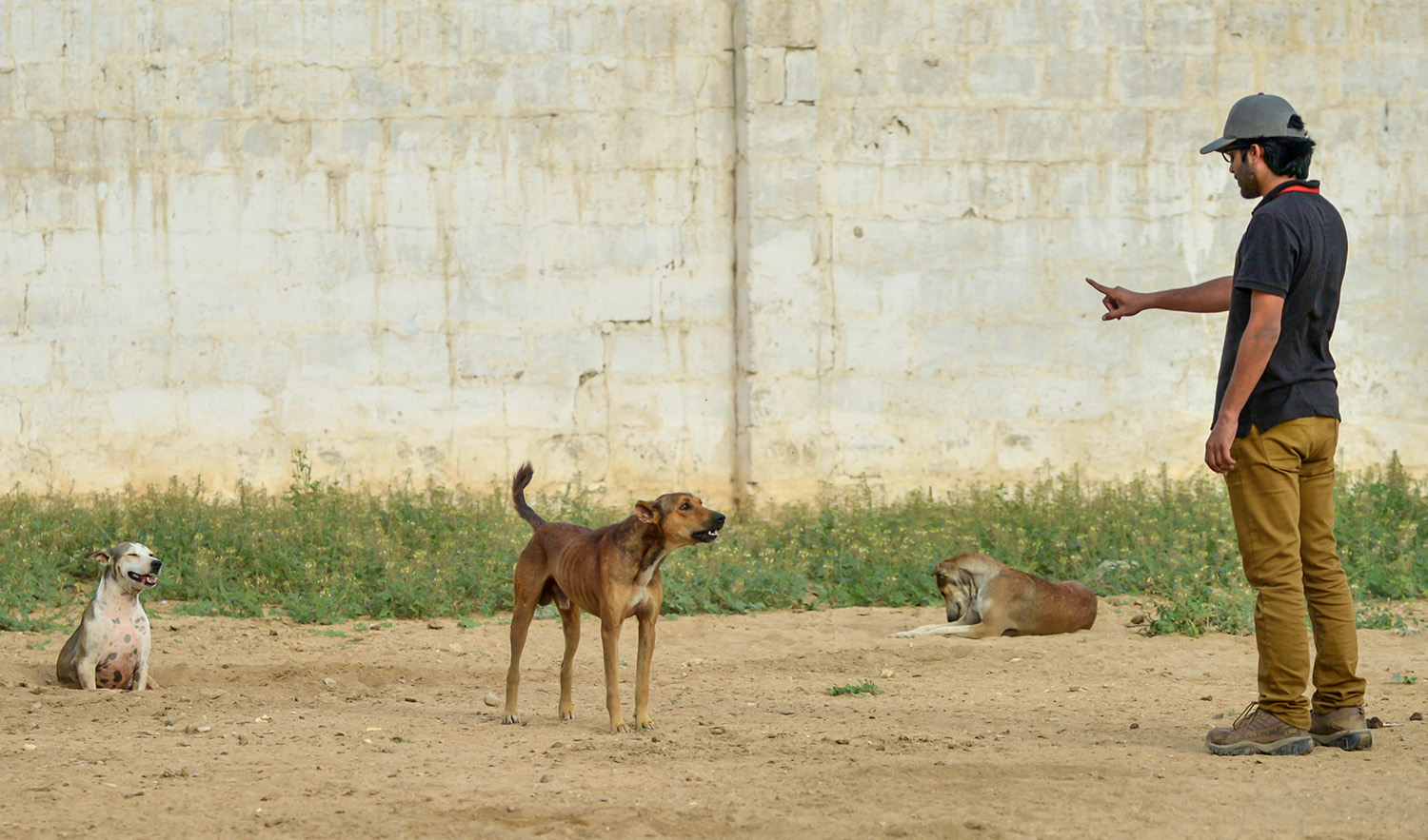 In this photograph taken on August 17, 2016, Pakistani animal rescuer Syed Mustafa Ahmed, gestures beside stray dogs at the Edhi Animal Home on the outskirts of Karachi. (AFP/File)
