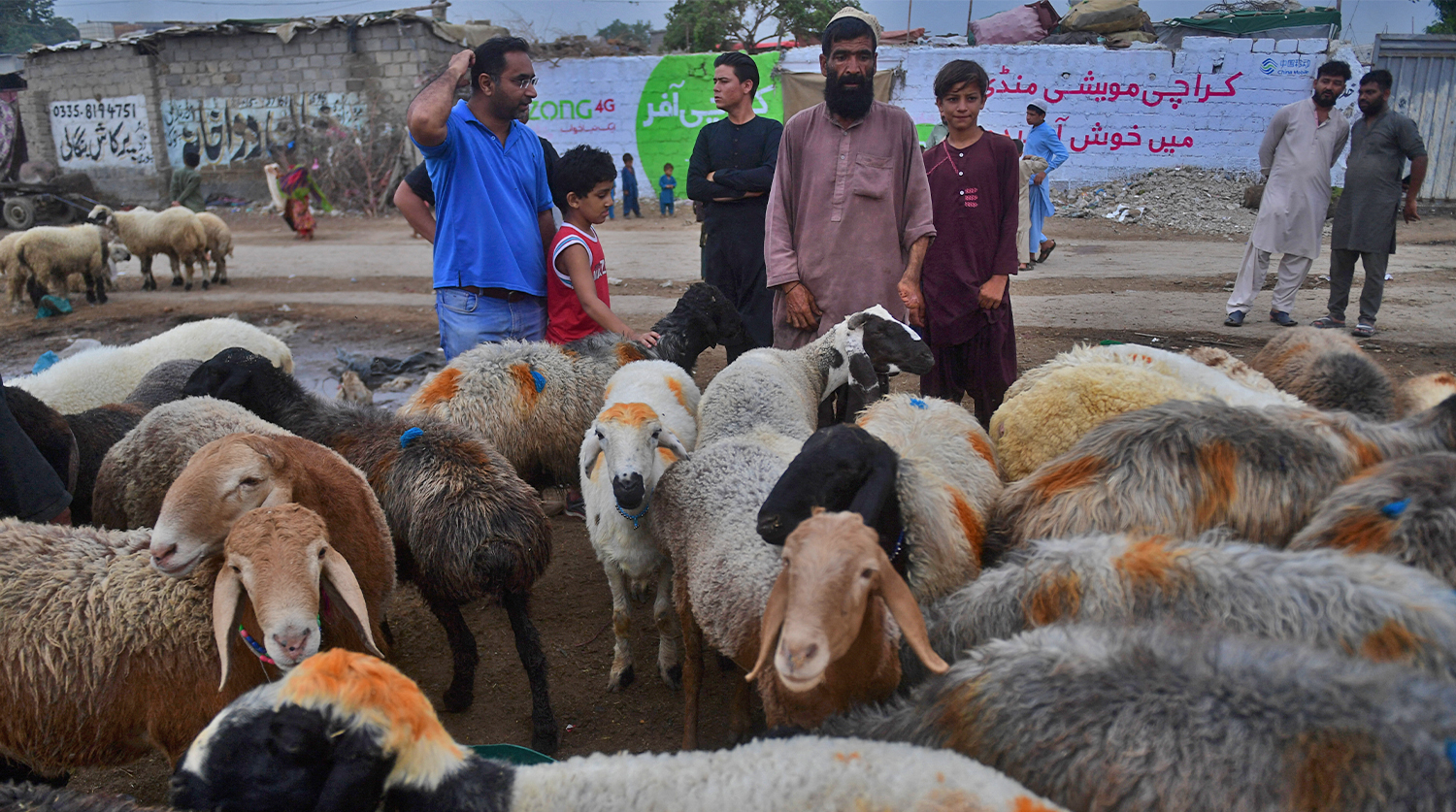Muslims buy sheeps along the roadside ahead of the Muslim festival of Eid al-Adha in Pakistan's port city of Karachi on July 16, 2021. (AFP/File)