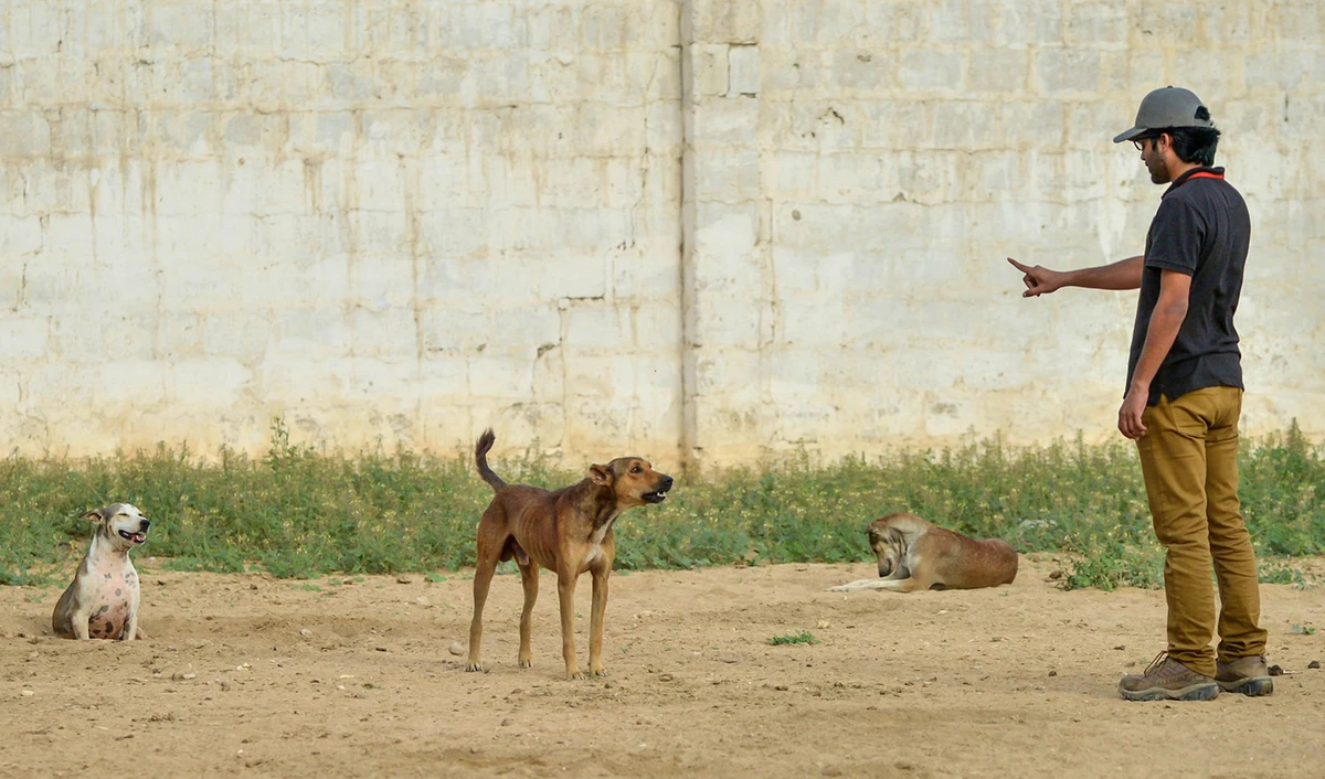 In this photograph taken on August 17, 2016, Pakistani animal rescuer Syed Mustafa Ahmed, gestures beside stray dogs at the Edhi Animal Home on the outskirts of Karachi. (AFP/File)