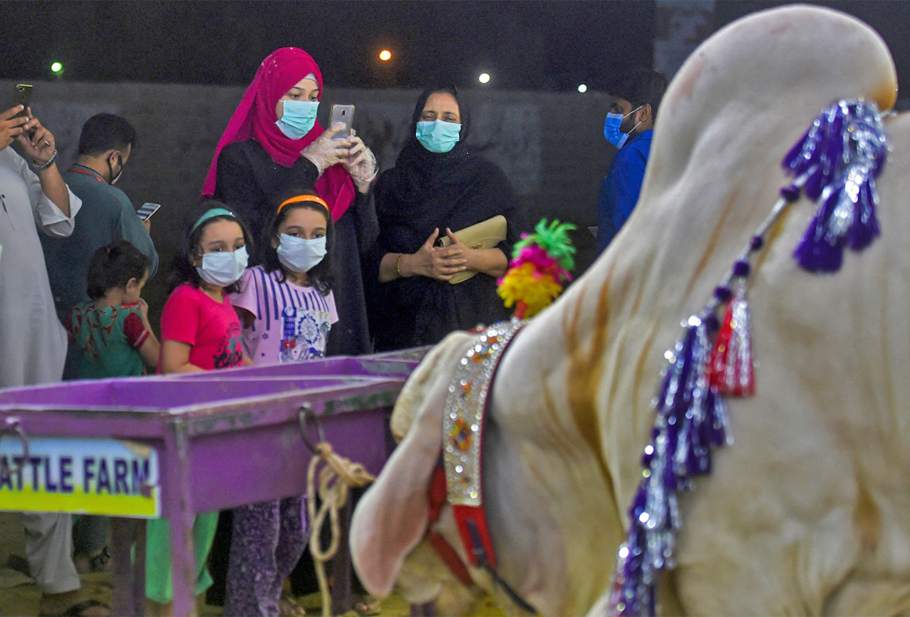 Customers wearing face masks arrive at a cattle market ahead of the Muslim festival Eid al-Adha in Karachi, on July 22, 2020. (AFP/File)