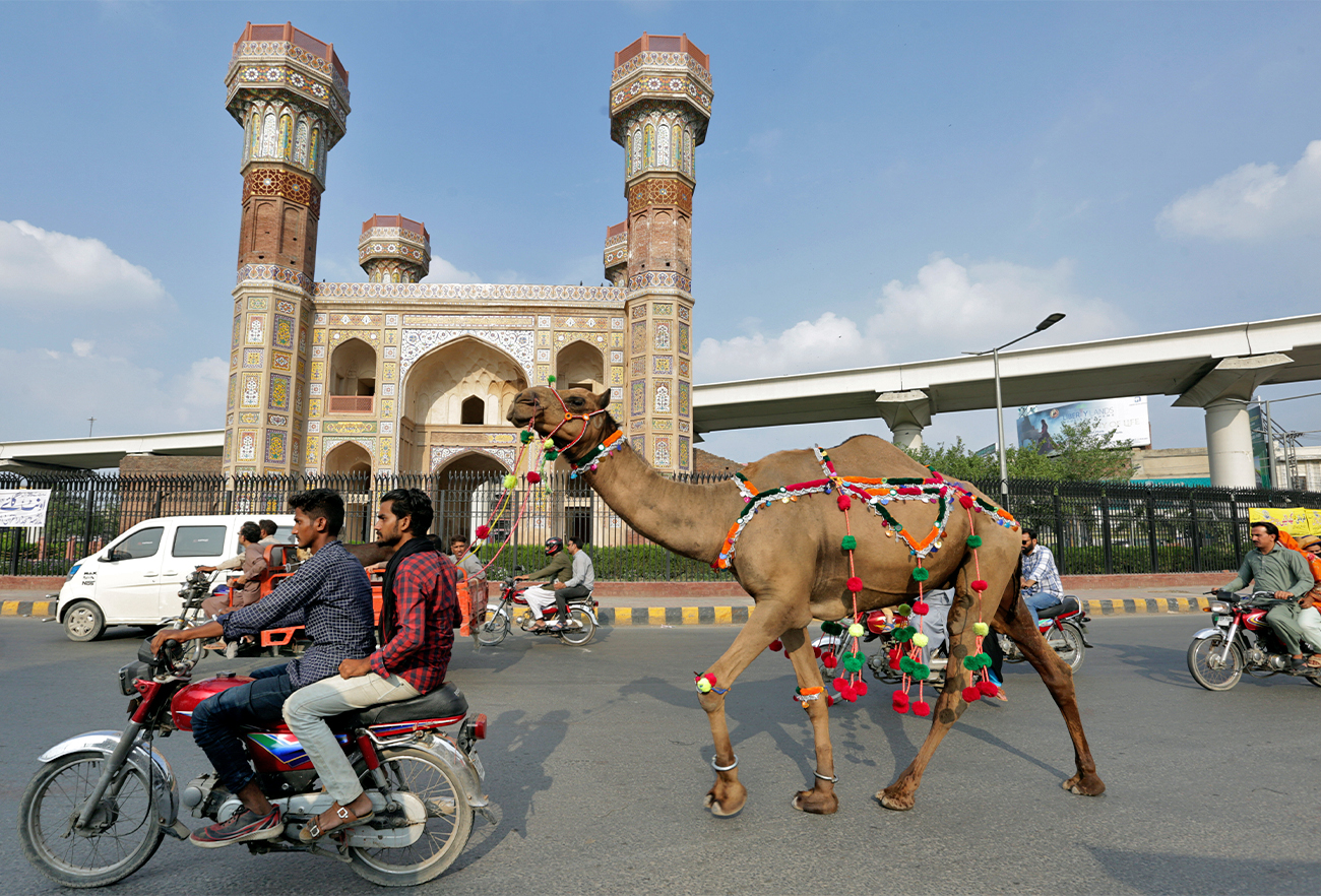 A Pakistani man leads his camel to market ahead of the Eid Al-Adha holiday in Lahore, Pakistan, on July 3, 2022. (AP)