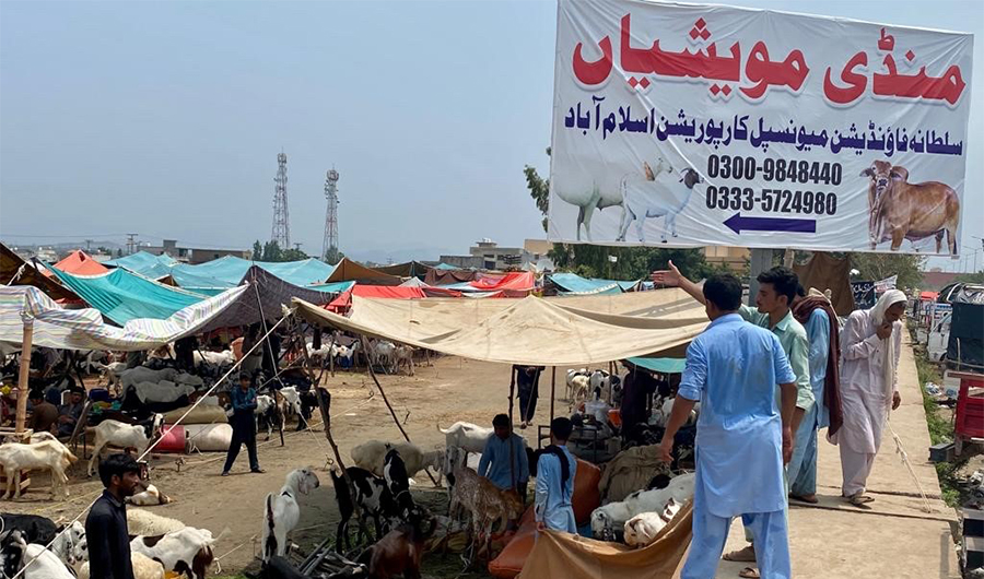 A view of the Lehtrar Road livestock market in Islamabad, Pakistan on July 7, 2022. (AN Photo)