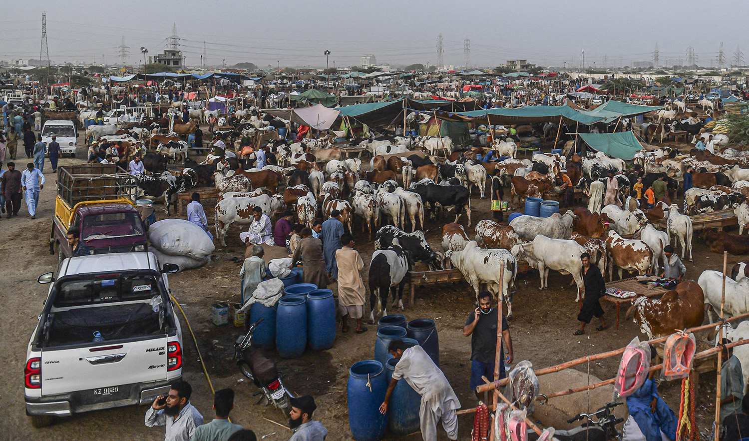 People throng a cattle market ahead of the upcoming Muslim festival of Eid Al-Adha in Pakistan's port city of Karachi on July 1, 2022. (AFP)