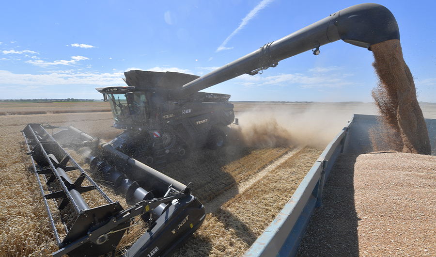 French farmers harvest "Chevignon" a variety of bread wheat, with a track combine harvester, in Saumeray, near Illiers-Combray, center France, on July 13, 2022. (AFP)