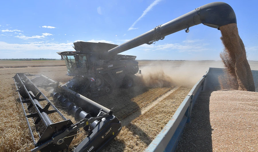 French farmers harvest "Chevignon" a variety of bread wheat, with a track combine harvester, in Saumeray, near Illiers-Combray, center France, on July 13, 2022. (AFP)