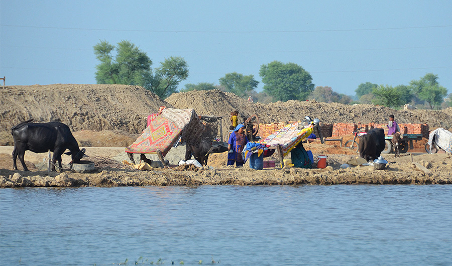 Flood-affected people take refuge at a makeshift camp in dry ground alongside a flooded area in Dera Allah Yar town in Jaffarabad district, Balochistan province, on September 2, 2022. (AFP)