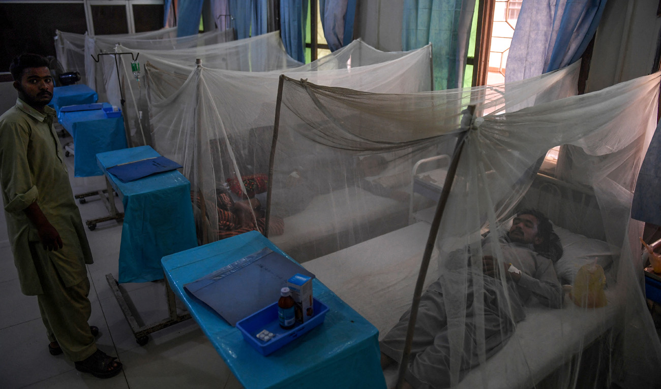 Patients suffering from dengue fever rest on beds under nets as they are treated at a government hospital in Karachi, Sindh-Pakistan on October 10, 2019. (AFP/File)