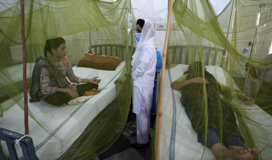 Pakistani patients suffering from dengue fever, a mosquito-borne disease, are treated in an isolation ward, at a hospital in Lahore, Pakistan, Friday, Sept. 23, 2022. (AP)