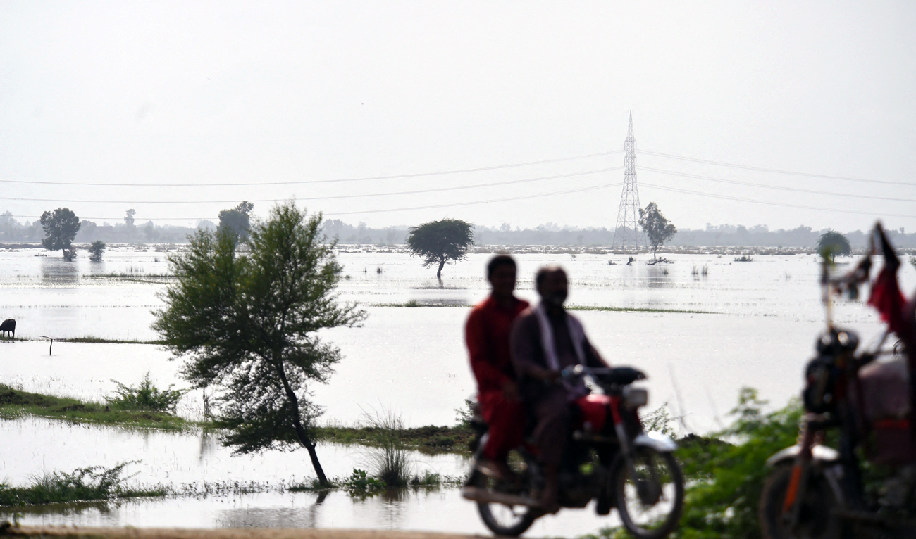 This picture taken on August 26, 2022 shows a general view of rice crops damaged by flood waters due to heavy monsoon rains in Jacobabad, Sindh province of Pakistan. (AFP)
