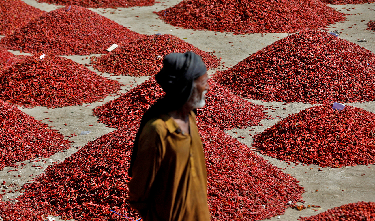 A man stands in front of mounds of red chili pepper, at the Mirch Mandi wholesale market, in Kunri, Umerkot, Pakistan, on October 15, 2022. (REUTERS)