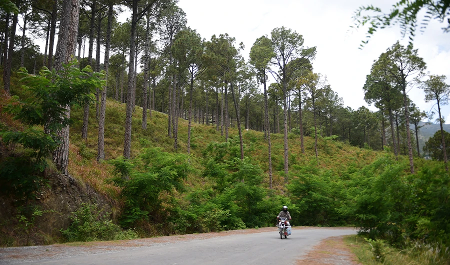 In this picture taken on May 18, 2018, a motorist rides past a forest area of Buner of Swat valley in northwest Pakistan. (AFP/FILE)