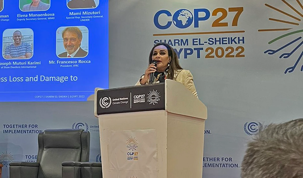 Pakistan's Minister of Climate Change Sherry Rehman speaks during 2022 United Nations Climate Change Conference (COP27) in Sharm El Sheikh, Egypt on November 12, 2022. (Photo courtesy: social media)