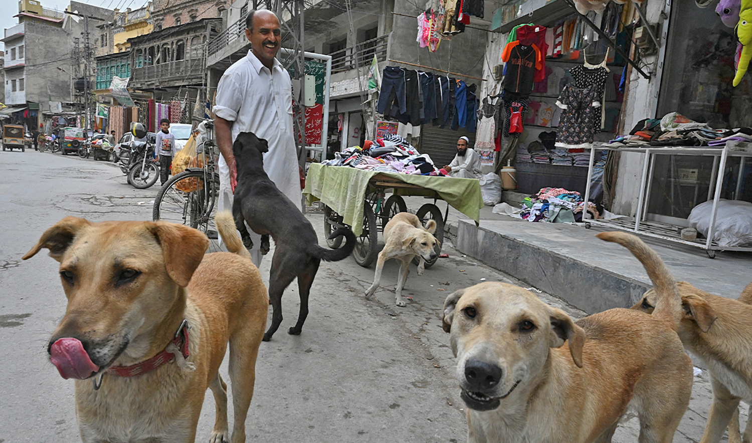 A man plays with stray dogs on a street in Rawalpindi, Pakistan, on March 21, 2021. (AFP/File)