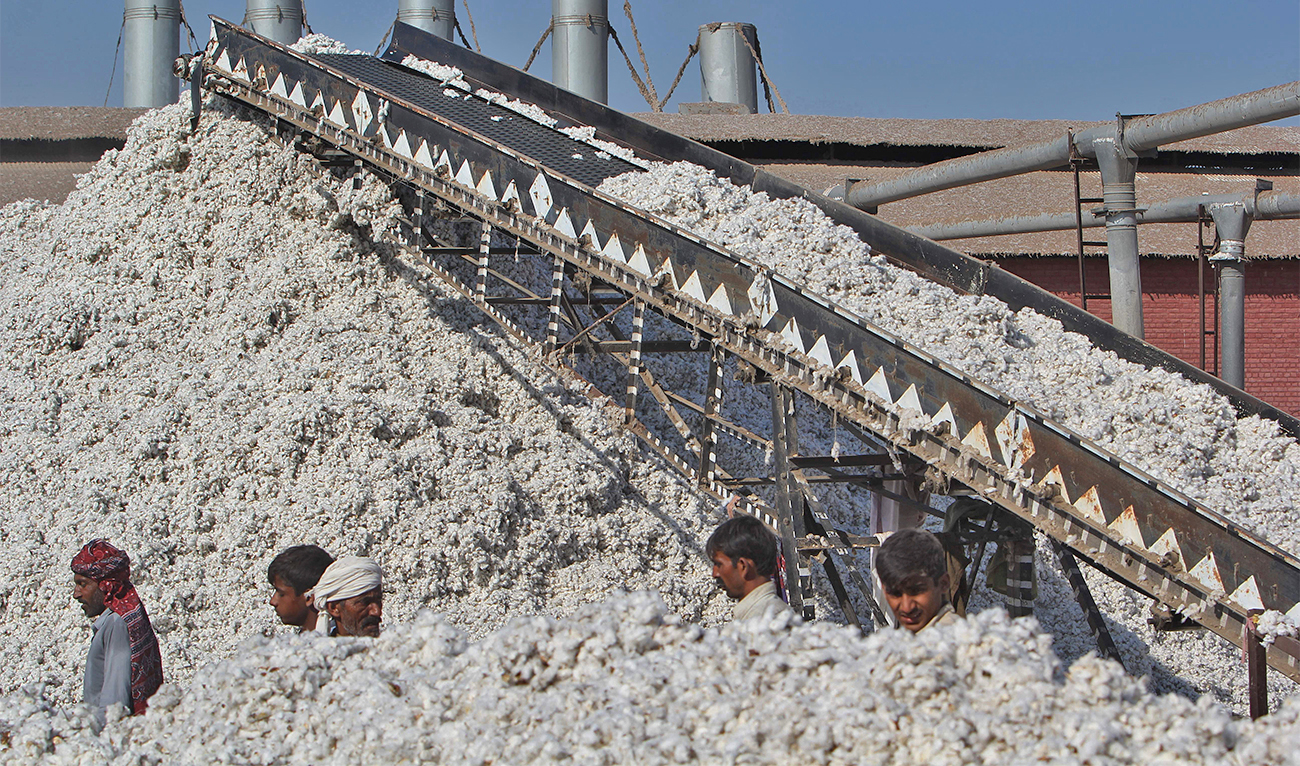 In this photograph taken on February 24, 2016, Pakistani workers process freshly picked cotton at a factory at Khanewal in the central province of Punjab, Pakistan. (AFP/File)