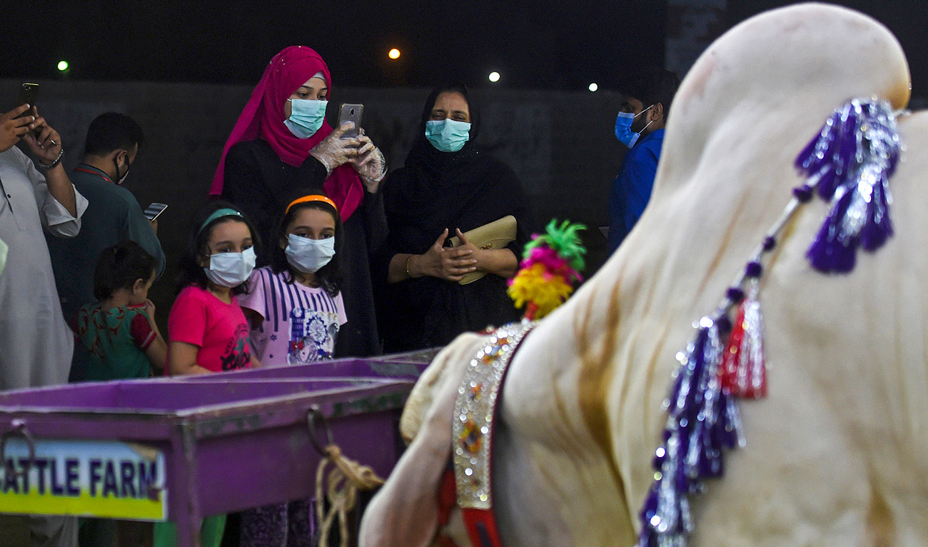 In this picture taken on July 22, 2020, customers wearing facemasks arrive at a cattle market ahead of the Muslim festival Eid al-Adha or the 'Festival of Sacrifice', in Pakistan's port city of Karachi. (AFP/File)