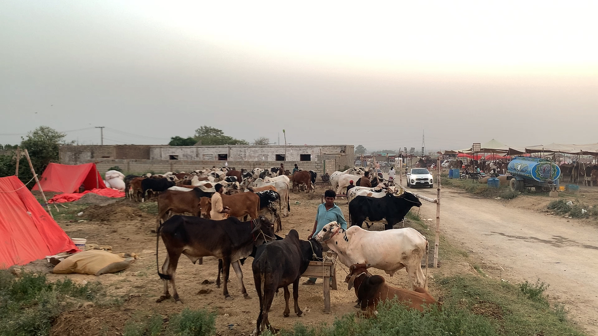 This photograph taken on June 23, 2023, shows a general view of an animal market for the Muslim annual festival of Eid Al-Adha or the Festival of Sacrifice, on the outskirts of the Pakistani capital, Islamabad. (AN Photo)