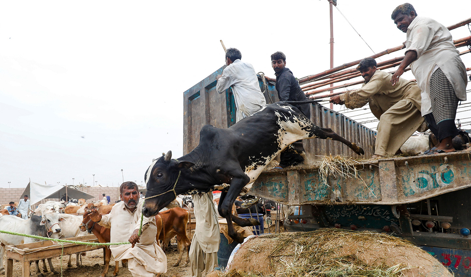 Workers offload sacrificial animals from a truck at a cattle market, ahead of the Eid al-Adha festival in Karachi, Pakistan on June 24, 2023. (REUTERS)