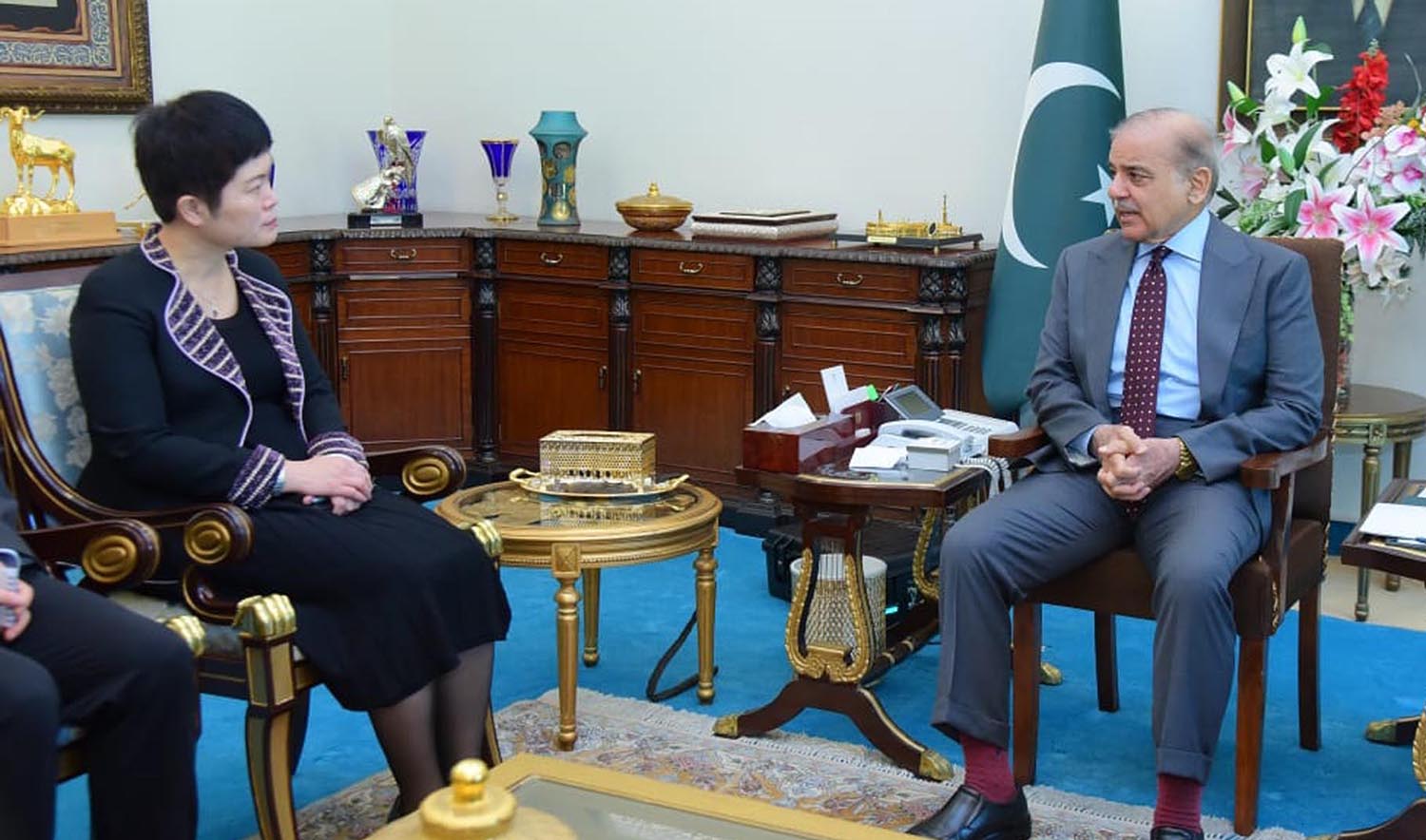 Pang Chunxue, Chinese chargé d’affaires in Pakistan, meets Pakistan Prime Minister Shehbaz Sharif in Islamabad on July 11, 2023. (PID)
