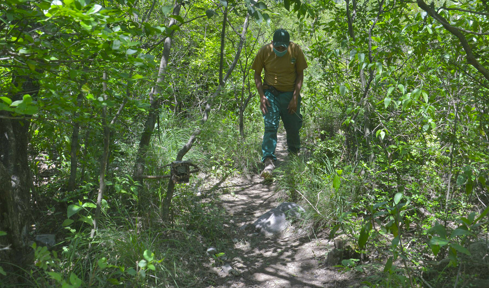In this picture taken on on May 6, 2020 shows an Islamabad Wildlife guard on the hiking trail on Margalla Hill National Park in Islamabad, Pakistan. (AFP/File)