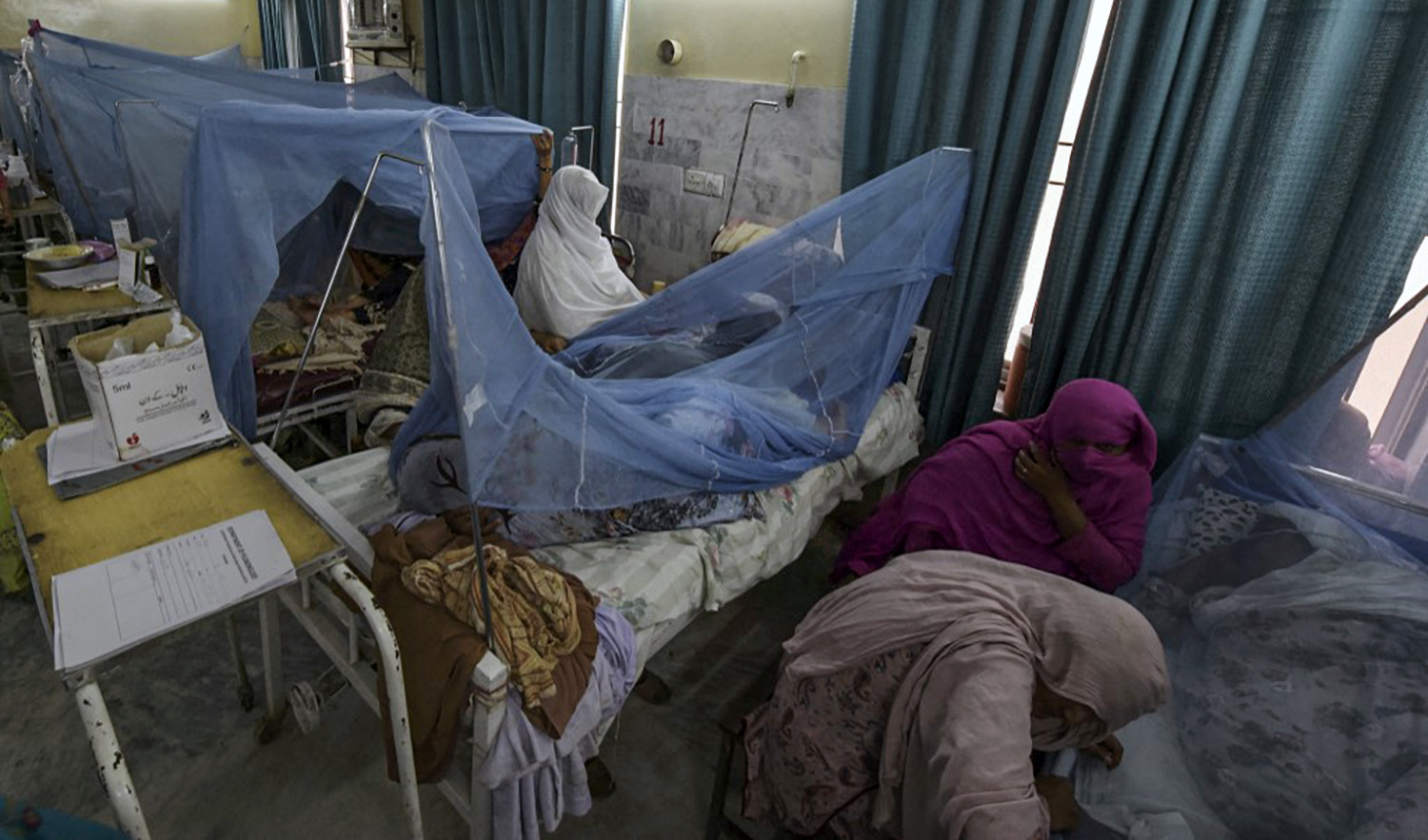Relatives accompany patients suffering from dengue fever on beds under netting at a hospital in Peshawar, Pakistan on September 12, 2019. (AFP/File)